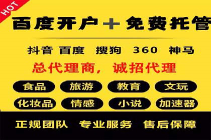 大型SEM服务公司案例分析